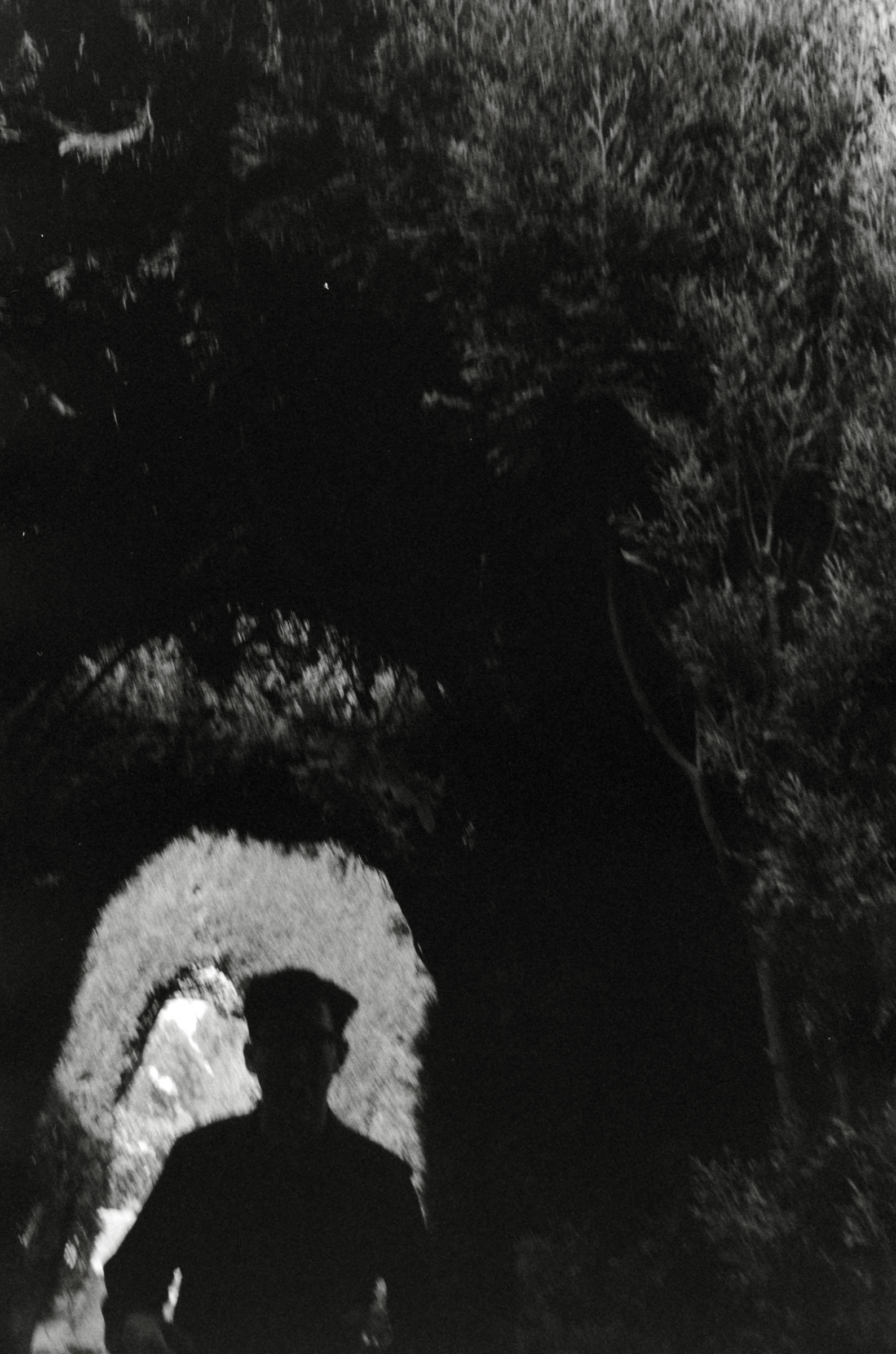 AHP F2001 07 002 sc240901 img05 NLP